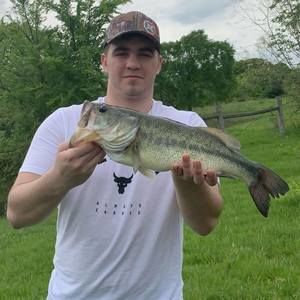 Meet your Posher, Logan